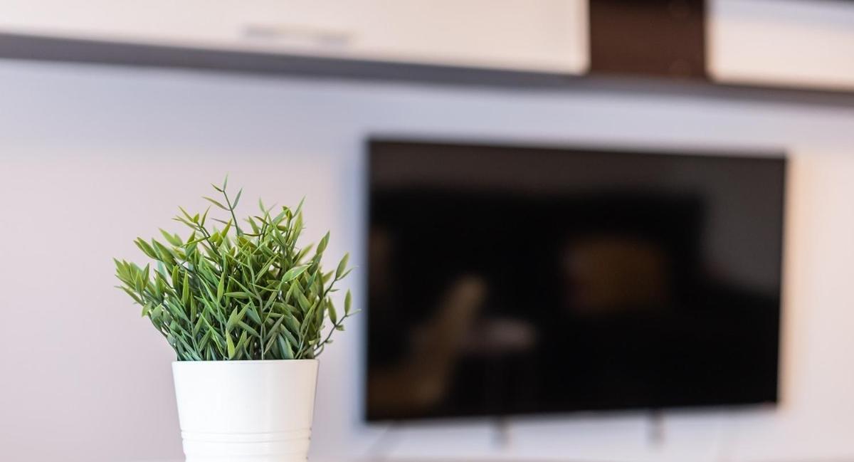 Adaptado Y Comodo Apartamento En Iturrama Pamplona Exteriér fotografie